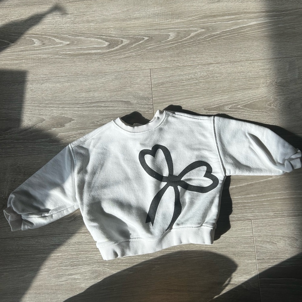 Zara 2T sweater